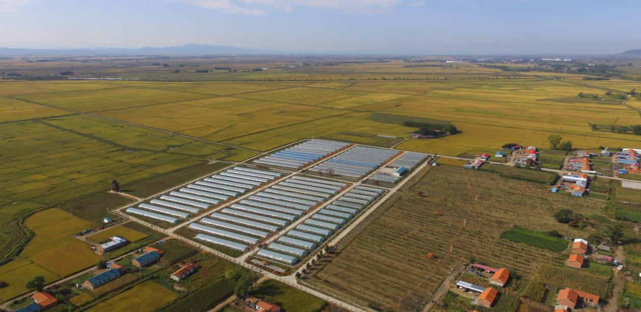 1711006593837319.png 圖片8.png